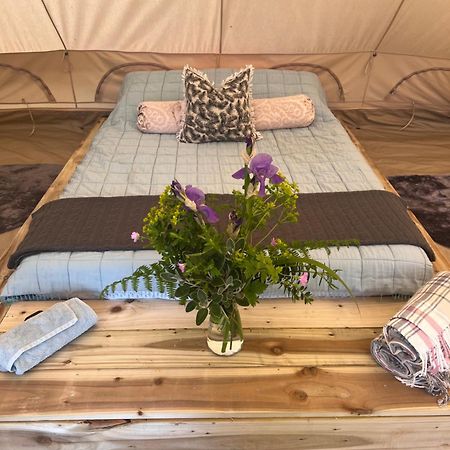 Bluebell Tent At Ballyward Croft Ardkeen Eksteriør bilde