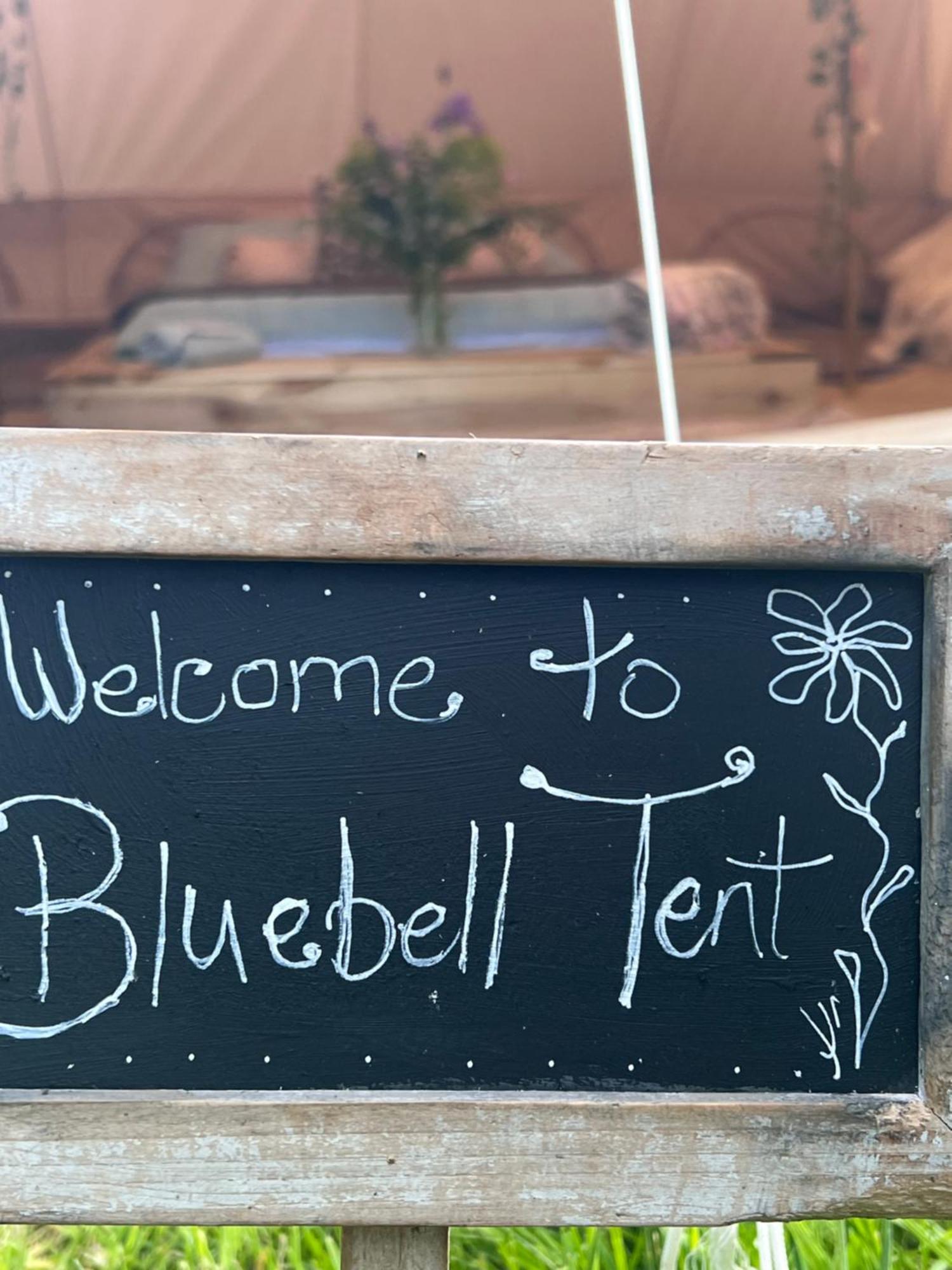 Bluebell Tent At Ballyward Croft Ardkeen Eksteriør bilde