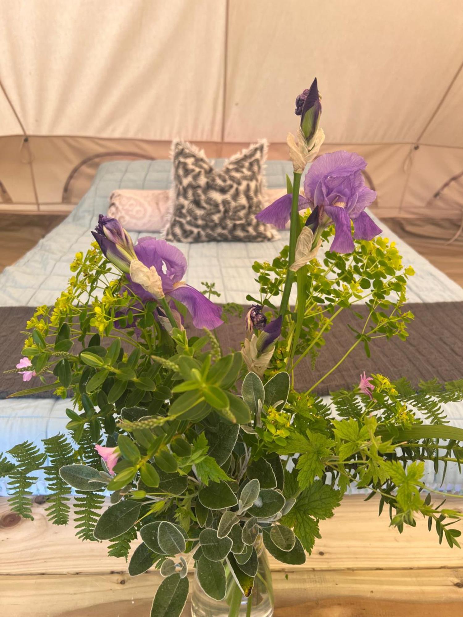 Bluebell Tent At Ballyward Croft Ardkeen Eksteriør bilde