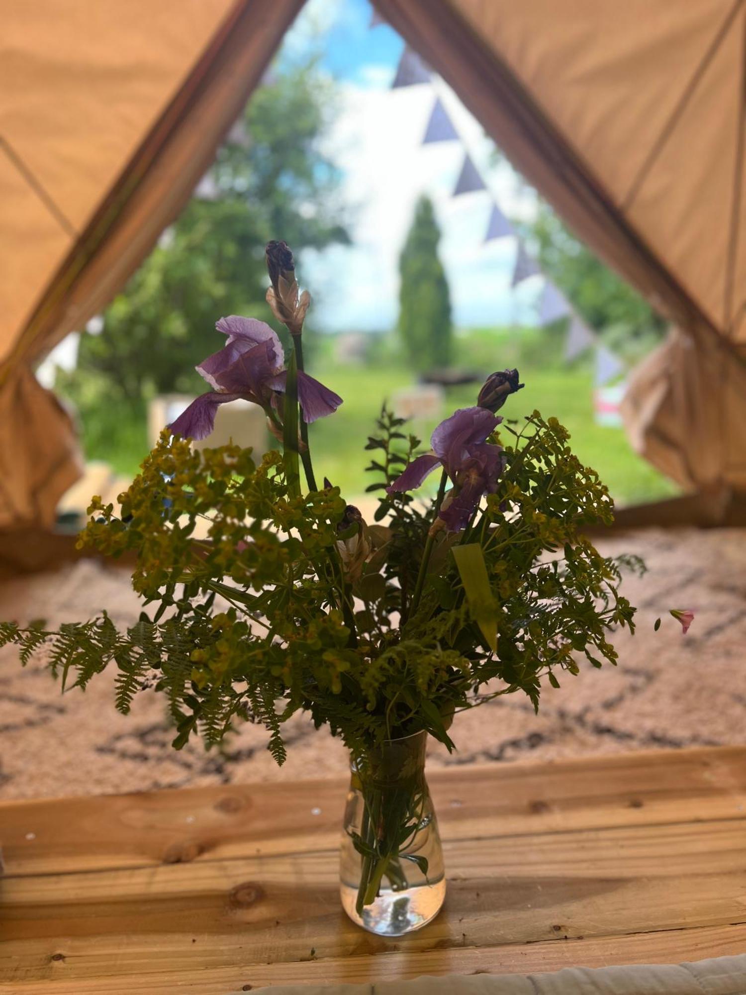 Bluebell Tent At Ballyward Croft Ardkeen Eksteriør bilde